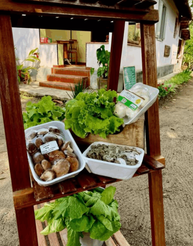 Merceariadasi4 768x975