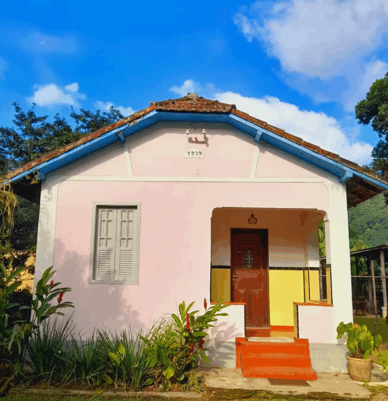 Merceariadasil1 768x794