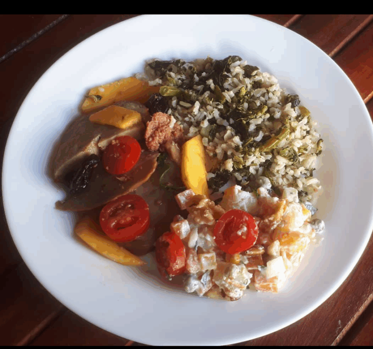 Reino Vegetal 4 768x718