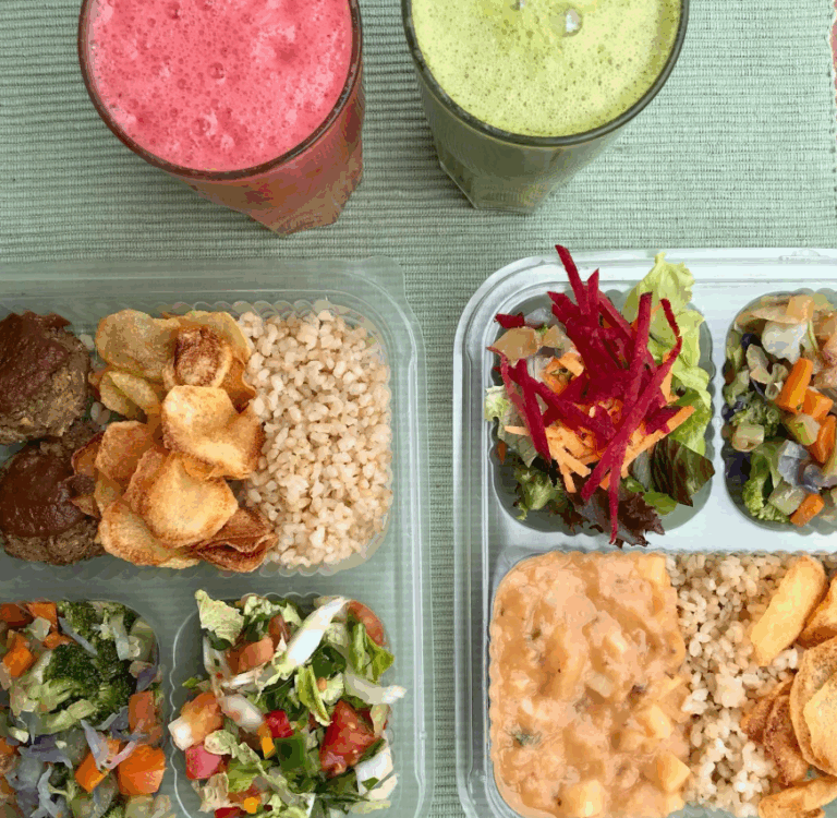 Reino Vegetal 5 768x750