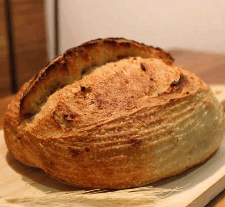 Captura de tela 2025 11 13 114239 2 768x709