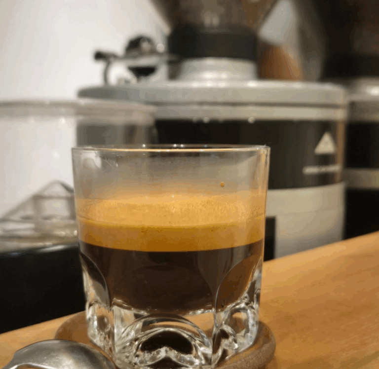 Captura de tela 2025 11 13 123200 768x748