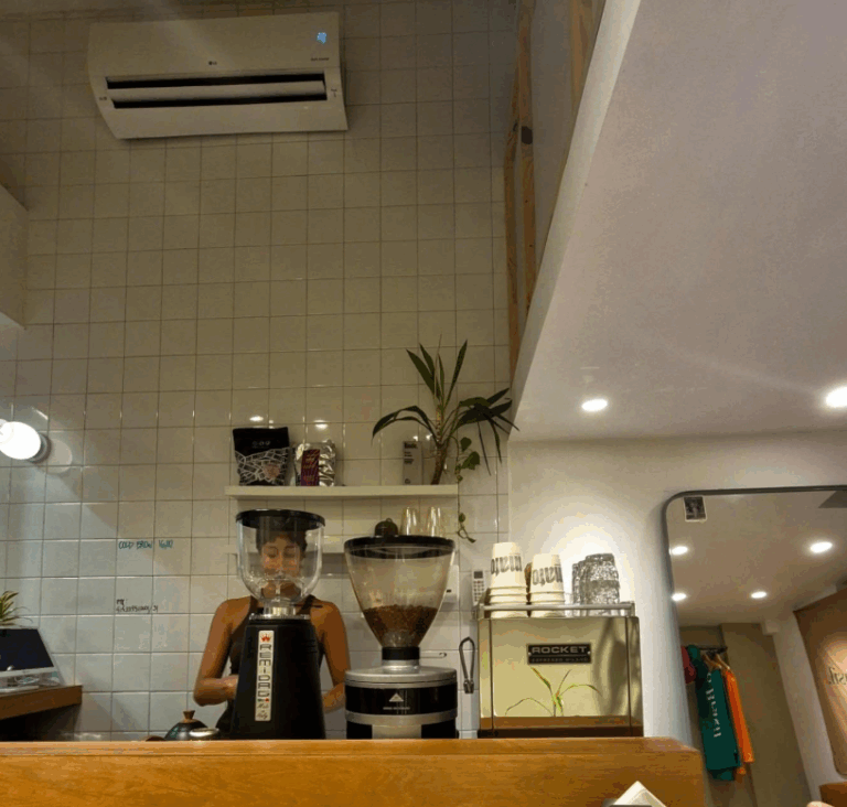 Captura de tela 2025 11 13 123210 768x732