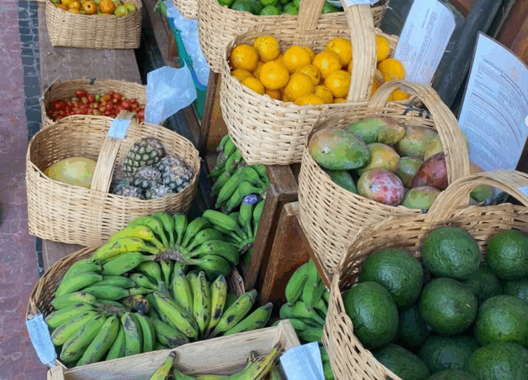 Captura de tela 2025 11 13 125635 768x553