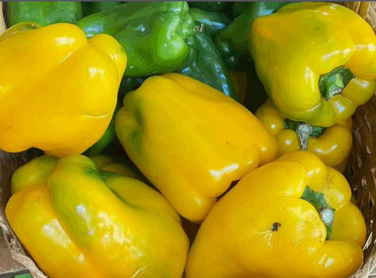 Captura de tela 2025 11 13 125656 768x567