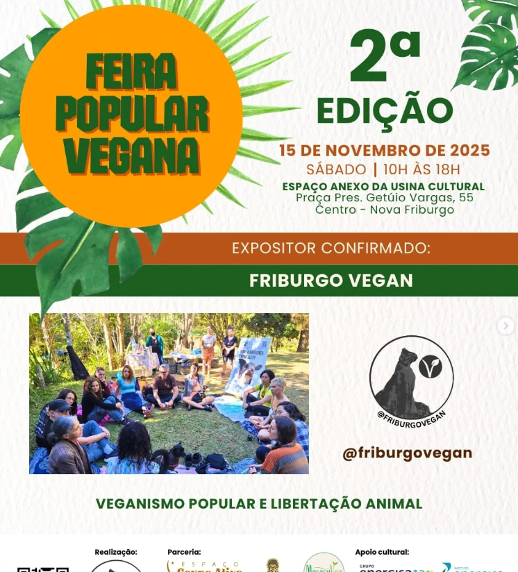 Captura de tela 2025 11 14 112704