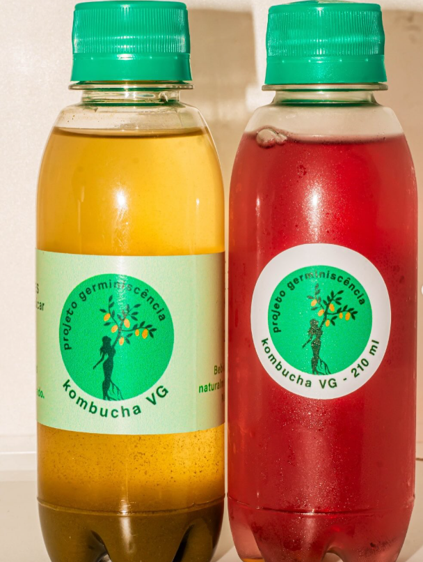 Captura de tela 2025 11 14 194931