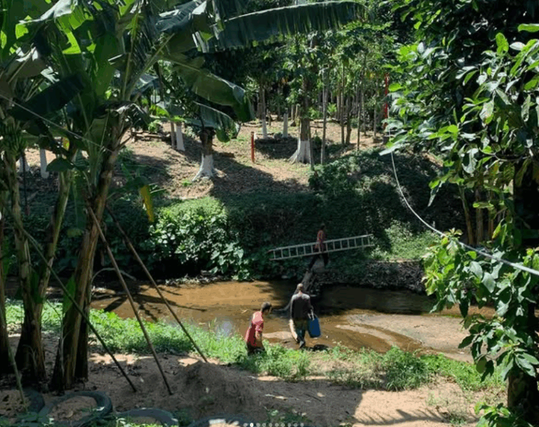 Captura de tela 2025 11 14 195056 768x608