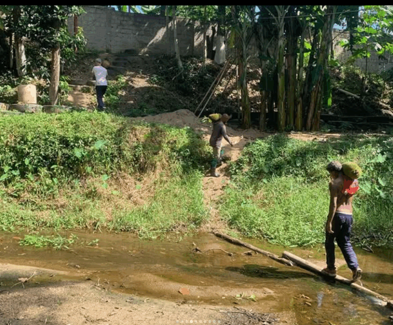 Captura de tela 2025 11 14 195109 768x636