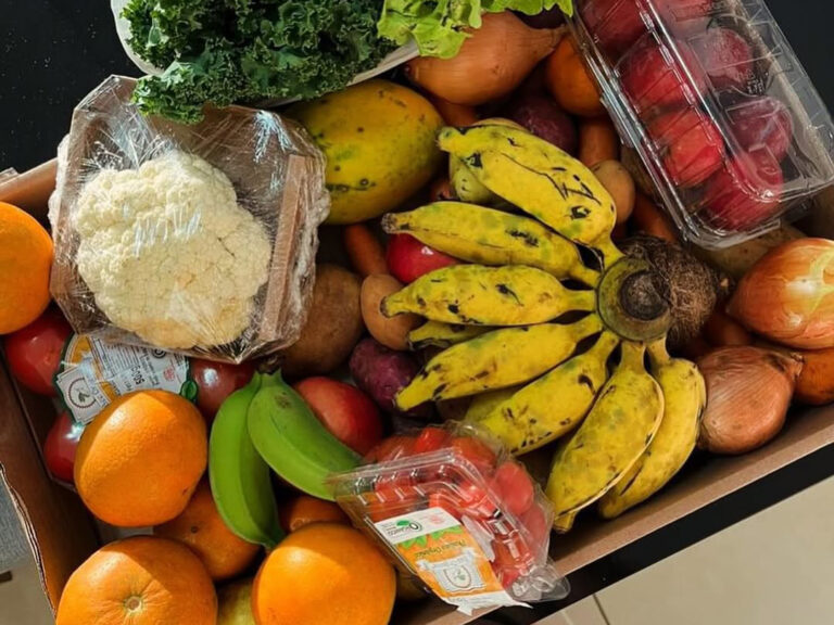 Rede i tal 4 768x576