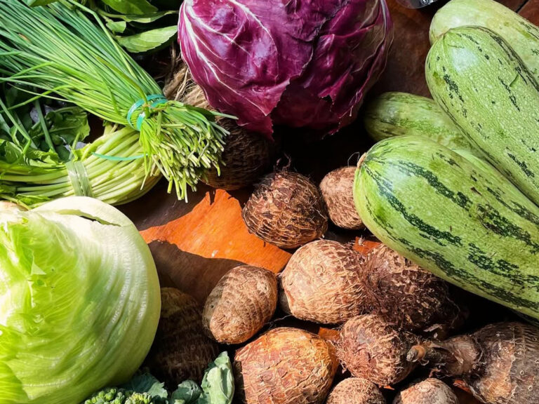 Rede i tal 5 768x576