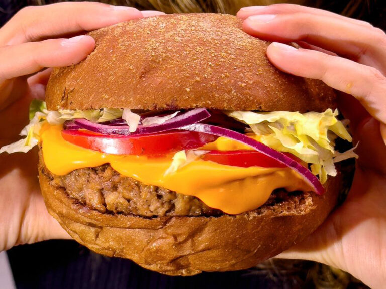 Refugio Veg 5 768x576