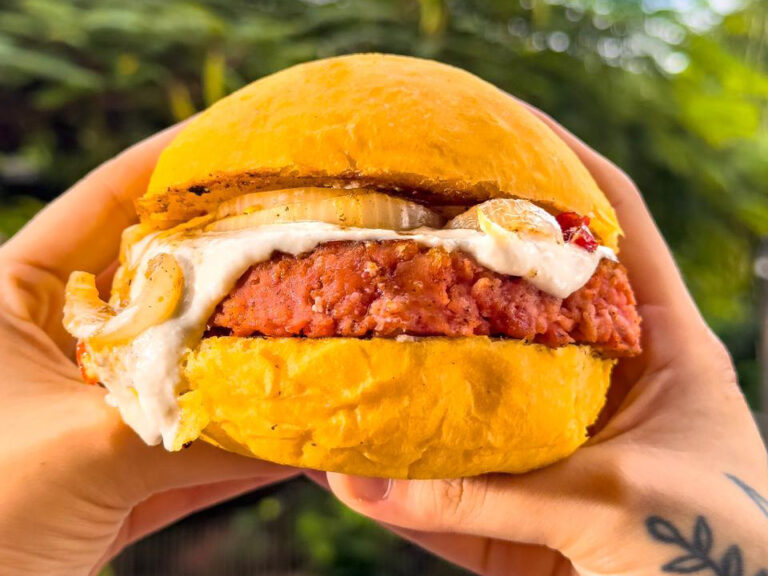 Refugio Veg 7 768x576